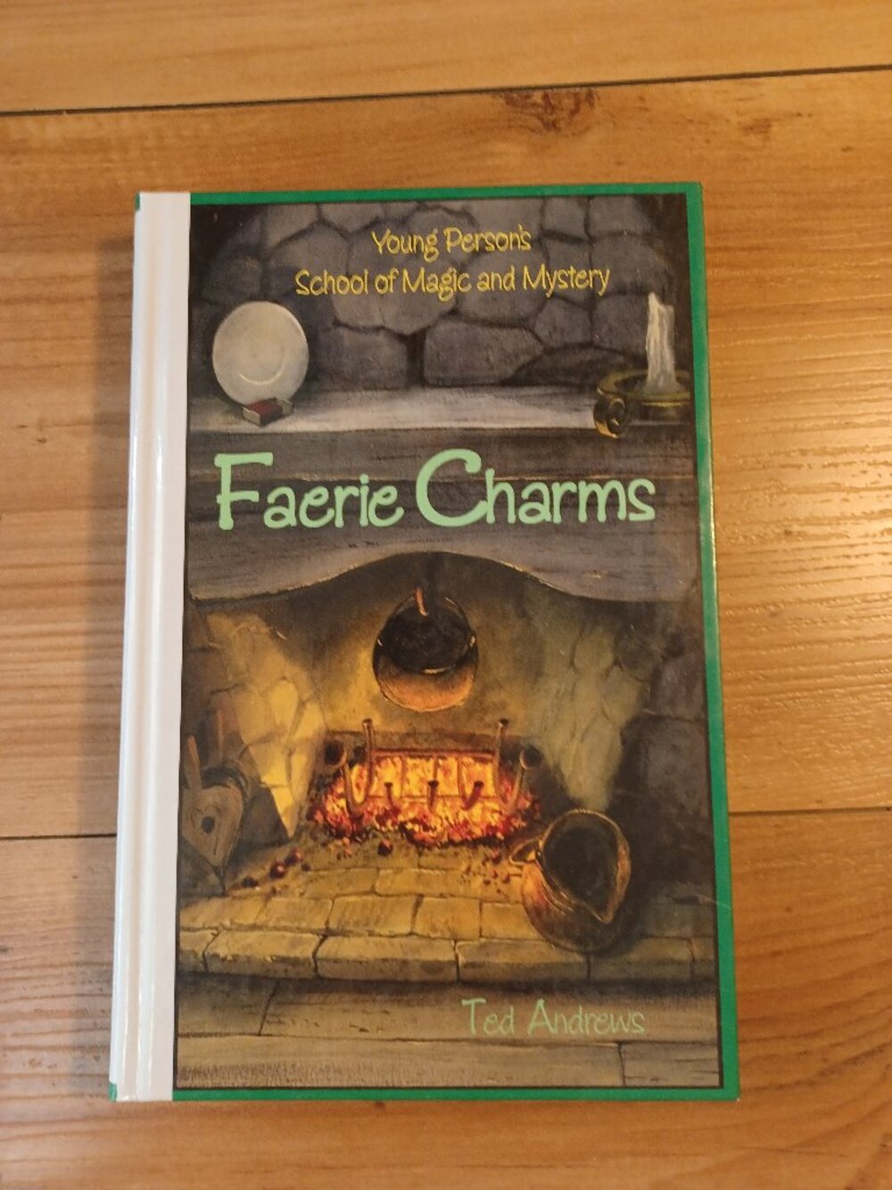 Faerie Chams ( Young Person's School Of Magic And Mystery) Book